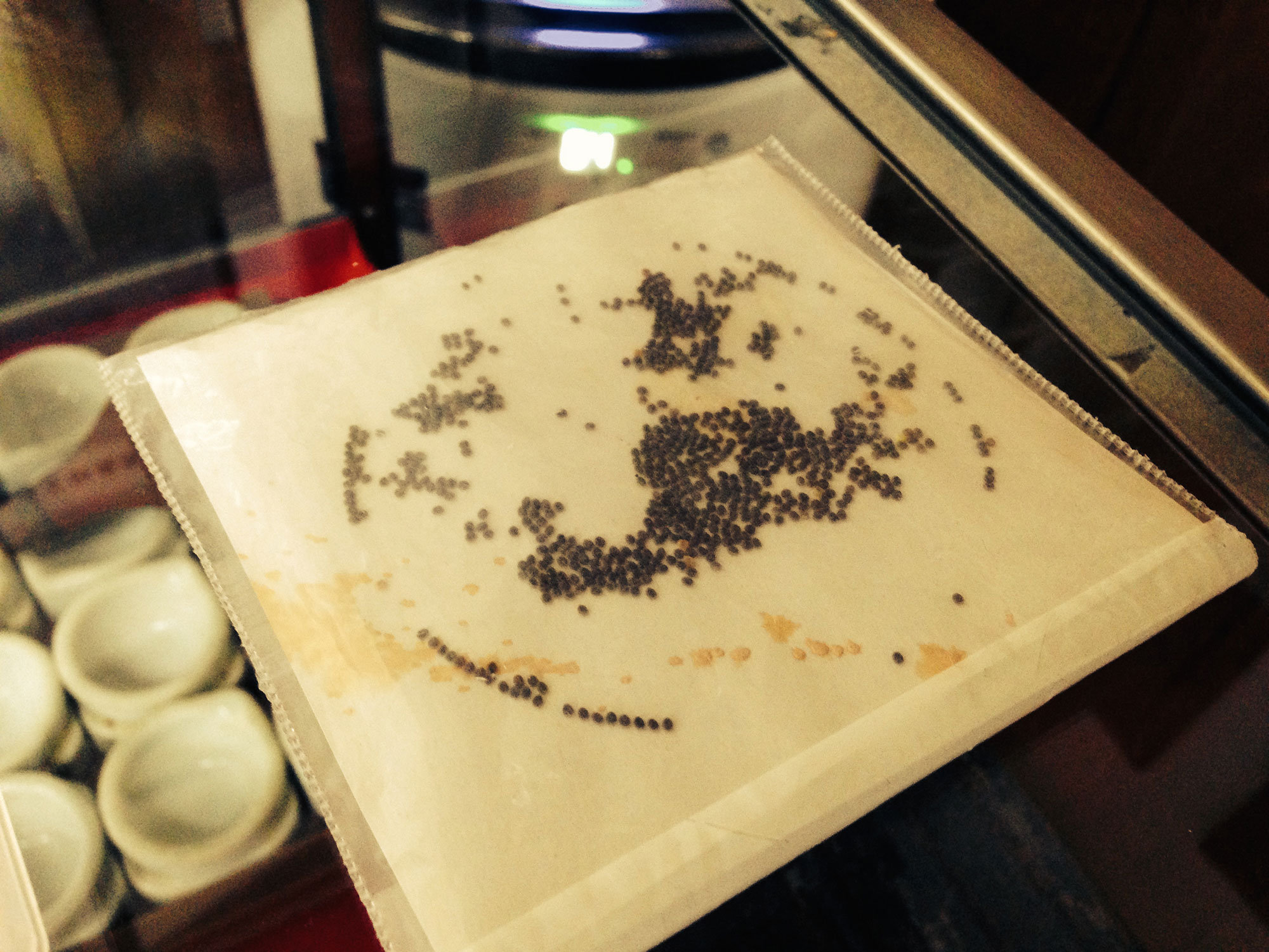 蚕の卵（蚕種）